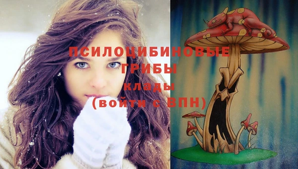 бошки Лиски