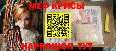 крисы Камышлов