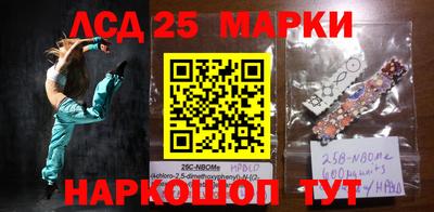крисы Камышлов