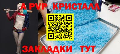 крисы Камышлов