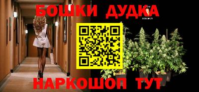 крисы Камышлов