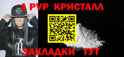 крисы Камышлов