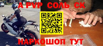 крисы Камышлов