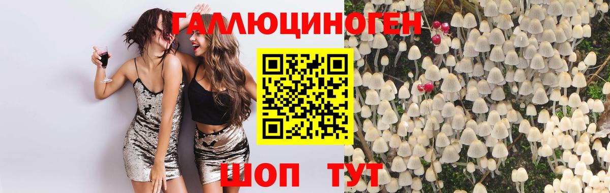 Псилоцибиновые грибы мицелий Реутов