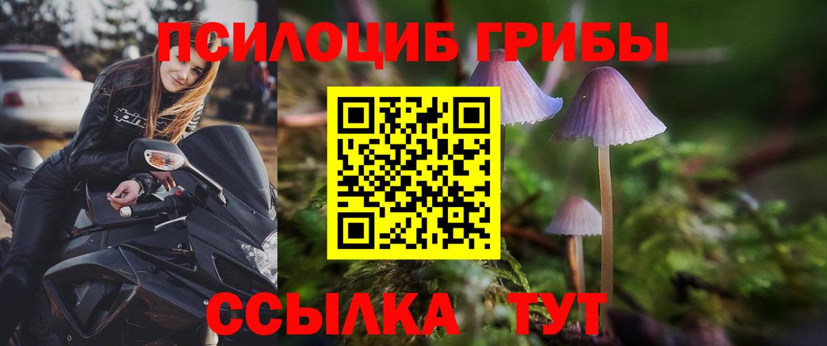 Реутов  купить наркоту  Вход с VPN  Псилоцибиновые грибы Psilocybe 