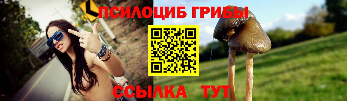 Галлюциногенные грибы Magic Shrooms Реутов